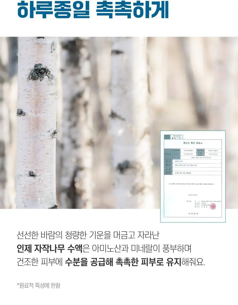 [단독/대용량] 라운드랩 자작나무 수분 크림 120ml 기획 (+수분패드 4매) 상세페이지 8